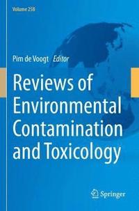bokomslag Reviews of Environmental Contamination and Toxicology Volume 258
