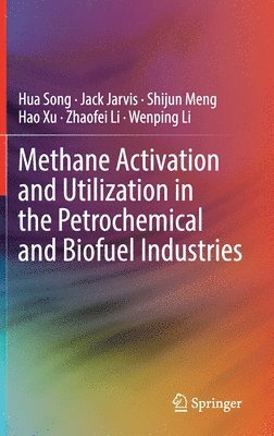 bokomslag Methane Activation and Utilization in the Petrochemical and Biofuel Industries