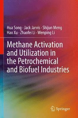 bokomslag Methane Activation and Utilization in the Petrochemical and Biofuel Industries