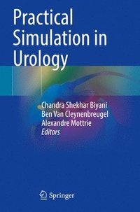 bokomslag Practical Simulation in Urology