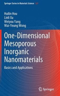 bokomslag One-Dimensional Mesoporous Inorganic Nanomaterials