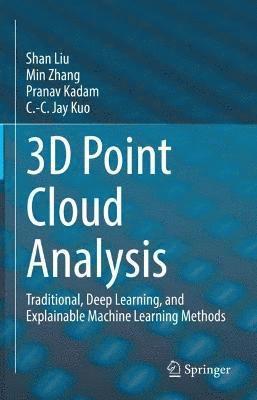 bokomslag 3D Point Cloud Analysis