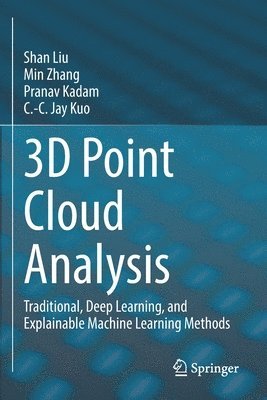 bokomslag 3D Point Cloud Analysis