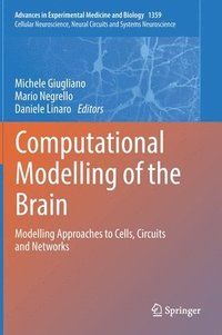 bokomslag Computational Modelling of the Brain