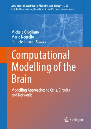 Michele Giugliano, Mario Negrello, Daniele Linaro - Computational Modelling of the Brain, Inbunden