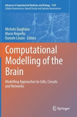 Computational Modelling of the Brain 1