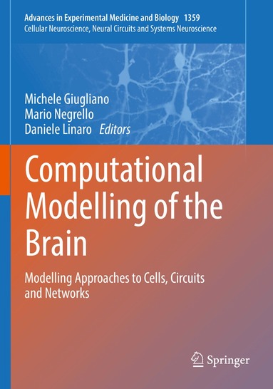 Michele Giugliano, Mario Negrello, Daniele Linaro - Computational Modelling of the Brain, Häftad