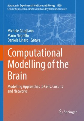 Computational Modelling of the Brain 1