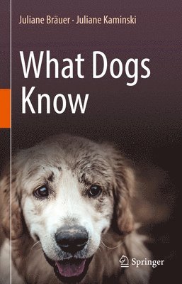 What Dogs Know 1