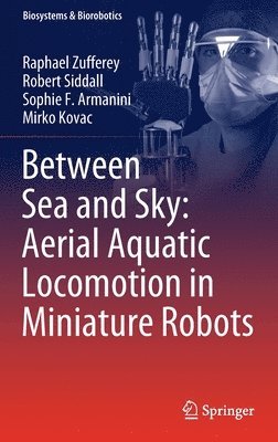 Between Sea and Sky: Aerial Aquatic Locomotion in Miniature Robots 1