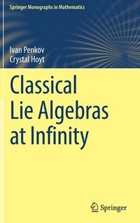 bokomslag Classical Lie Algebras at Infinity
