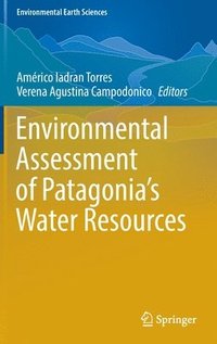 bokomslag Environmental Assessment of Patagonia's Water Resources