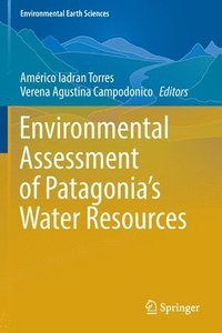 bokomslag Environmental Assessment of Patagonia's Water Resources