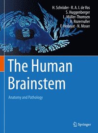 bokomslag The Human Brainstem