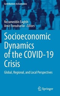 bokomslag Socioeconomic Dynamics of the COVID-19 Crisis