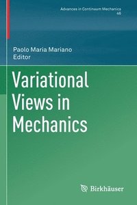 bokomslag Variational Views in Mechanics