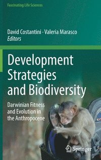 bokomslag Development Strategies and Biodiversity