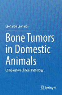 bokomslag Bone Tumors in Domestic Animals