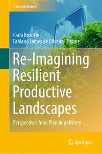 bokomslag Re-Imagining Resilient Productive Landscapes