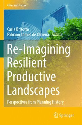bokomslag Re-Imagining Resilient Productive Landscapes