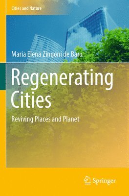 bokomslag Regenerating Cities