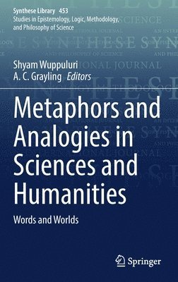 bokomslag Metaphors and Analogies in Sciences and Humanities