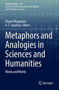 bokomslag Metaphors and Analogies in Sciences and Humanities