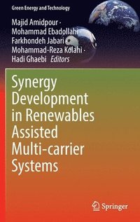 bokomslag Synergy Development in Renewables Assisted Multi-carrier Systems