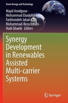 Synergy Development in Renewables Assisted Multi-carrier Systems 1