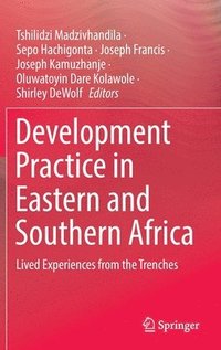 bokomslag Development Practice in Eastern and Southern Africa