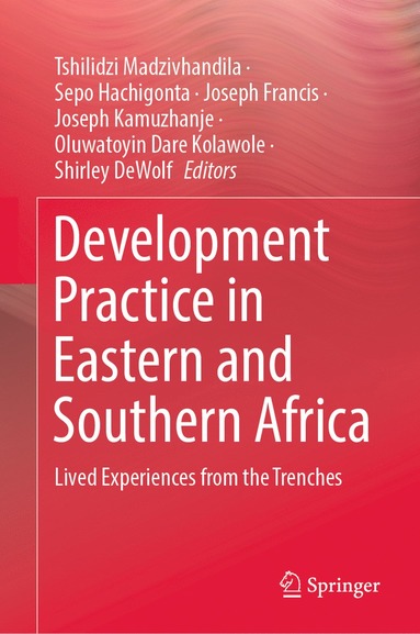 bokomslag Development Practice in Eastern and Southern Africa