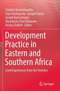 bokomslag Development Practice in Eastern and Southern Africa