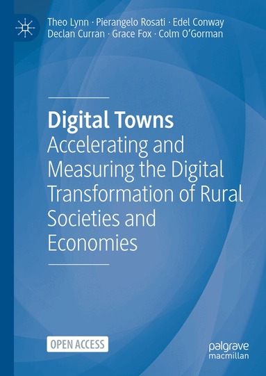 Theo Lynn, Pierangelo Rosati, Edel Conway, Declan Curran, Grace Fox, Colm O'Gorman - Digital Towns, Inbunden