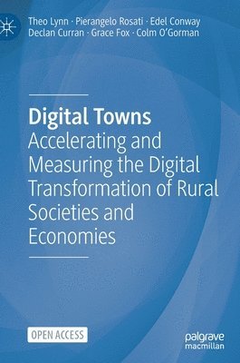 Digital Towns 1