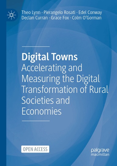 Theo Lynn, Pierangelo Rosati, Edel Conway, Declan Curran, Grace Fox, Colm O'Gorman - Digital Towns, Häftad