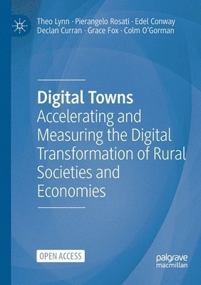 bokomslag Digital Towns