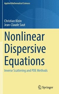 bokomslag Nonlinear Dispersive Equations