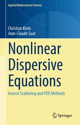bokomslag Nonlinear Dispersive Equations
