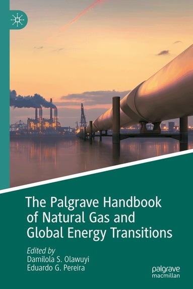 Damilola S. Olawuyi, Eduardo G. Pereira - Palgrave Handbook of Natural Gas and Global Energy Transitions, Inbunden