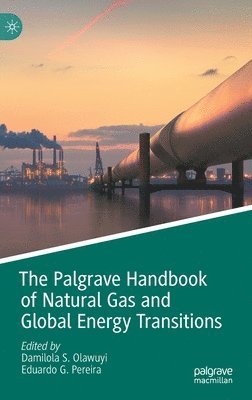 bokomslag The Palgrave Handbook of Natural Gas and Global Energy Transitions