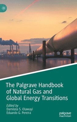 Damilola S. Olawuyi, Eduardo G. Pereira - Palgrave Handbook of Natural Gas and Global Energy Transitions, Inbunden
