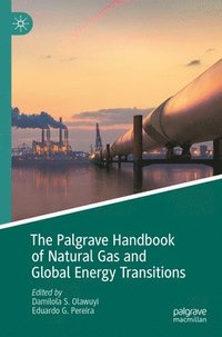 bokomslag The Palgrave Handbook of Natural Gas and Global Energy Transitions