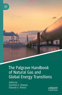 The Palgrave Handbook of Natural Gas and Global Energy Transitions 1