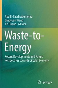 bokomslag Waste-to-Energy