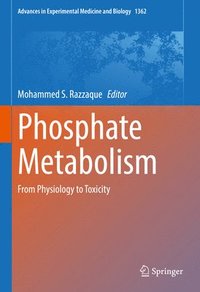 bokomslag Phosphate Metabolism