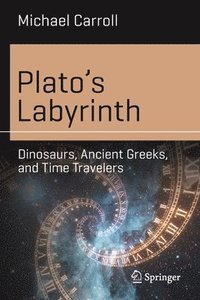 bokomslag Platos Labyrinth