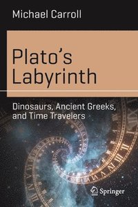 bokomslag Plato's Labyrinth
