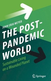 bokomslag The Post-Pandemic World