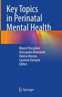 bokomslag Key Topics in Perinatal Mental Health