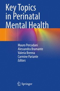 bokomslag Key Topics in Perinatal Mental Health